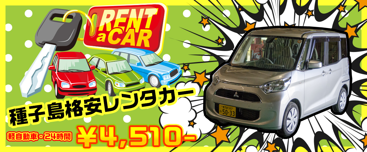 種子島レンタカー 南星 公式サイト
