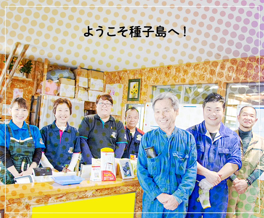 種子島レンタカー 南星 公式サイト